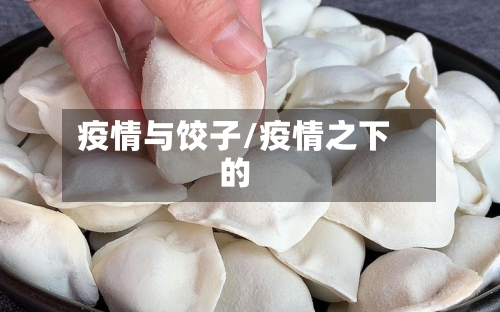 疫情与饺子/疫情之下的-第1张图片