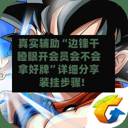 真实辅助“边锋干瞪眼开会员会不会拿好牌	”详细分享装挂步骤!-第2张图片