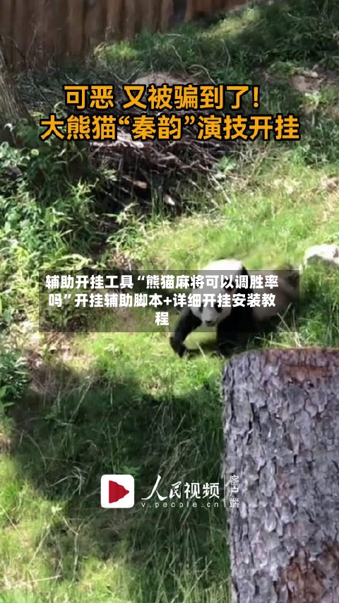 辅助开挂工具“熊猫麻将可以调胜率吗”开挂辅助脚本+详细开挂安装教程-第3张图片