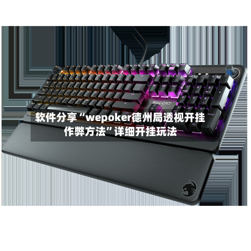 软件分享“wepoker德州局透视开挂作弊方法”详细开挂玩法