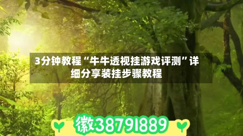 3分钟教程“牛牛透视挂游戏评测”详细分享装挂步骤教程-第3张图片