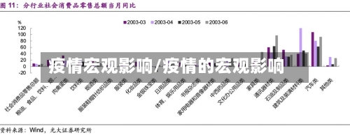 疫情宏观影响/疫情的宏观影响