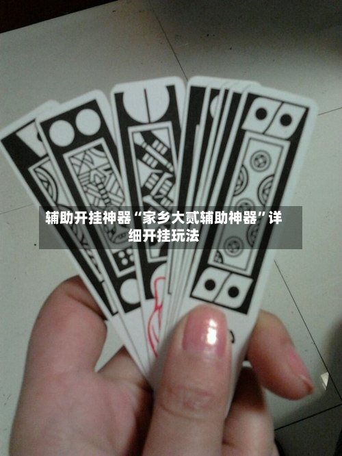 辅助开挂神器“家乡大贰辅助神器”详细开挂玩法