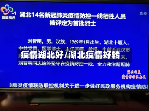 疫情湖北好/湖北疫情好转-第1张图片