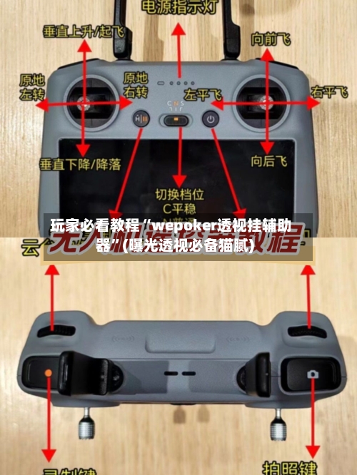 玩家必看教程“wepoker透视挂辅助器”(曝光透视必备猫腻)-第1张图片