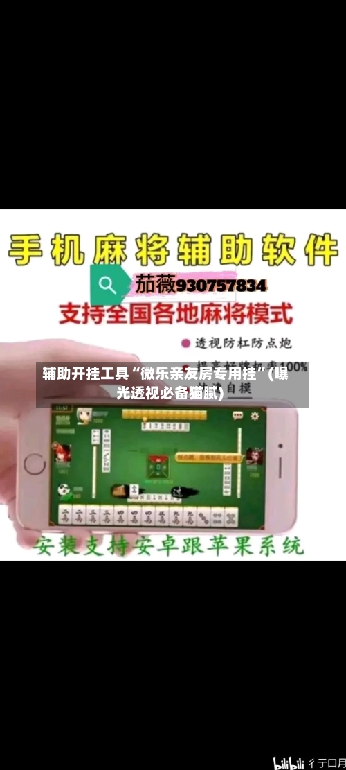 辅助开挂工具“微乐亲友房专用挂”(曝光透视必备猫腻)-第2张图片