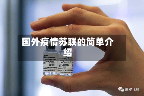 国外疫情苏联的简单介绍