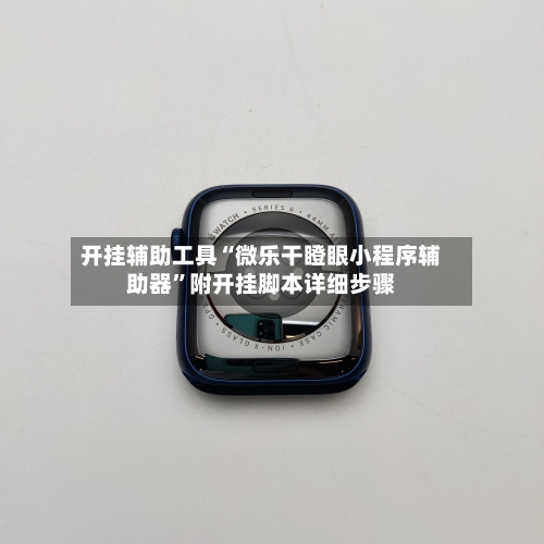 开挂辅助工具“微乐干瞪眼小程序辅助器”附开挂脚本详细步骤-第2张图片