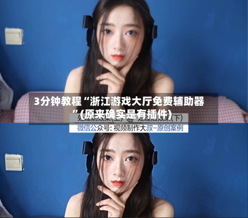 3分钟教程“浙江游戏大厅免费辅助器	”(原来确实是有插件)-第2张图片