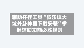 辅助开挂工具“微乐填大坑外卦神器下载安装	”掌握辅助功能必胜规则-第2张图片