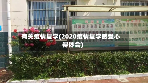 有关疫情复学(2020疫情复学感受心得体会)