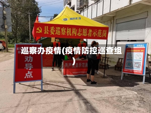 巡察办疫情(疫情防控巡查组)