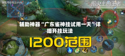 辅助神器“广东雀神挂试用一天”详细开挂玩法