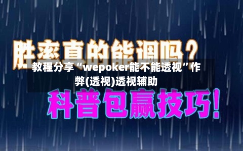 教程分享“wepoker能不能透视”作弊(透视)透视辅助-第3张图片