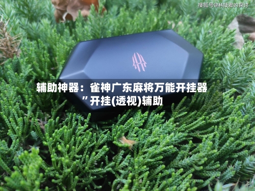 辅助神器：雀神广东麻将万能开挂器	”开挂(透视)辅助-第1张图片