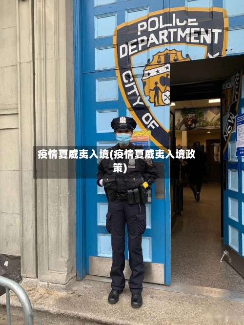 疫情夏威夷入境(疫情夏威夷入境政策)