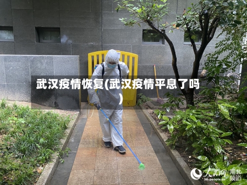 武汉疫情恢复(武汉疫情平息了吗)
