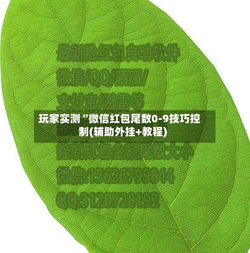 玩家实测“微信红包尾数0-9技巧控制(辅助外挂+教程)-第1张图片