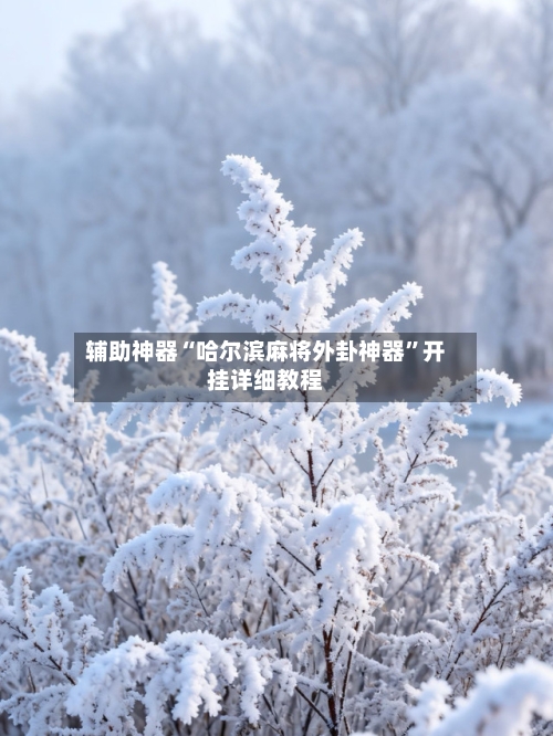 辅助神器“哈尔滨麻将外卦神器”开挂详细教程-第2张图片