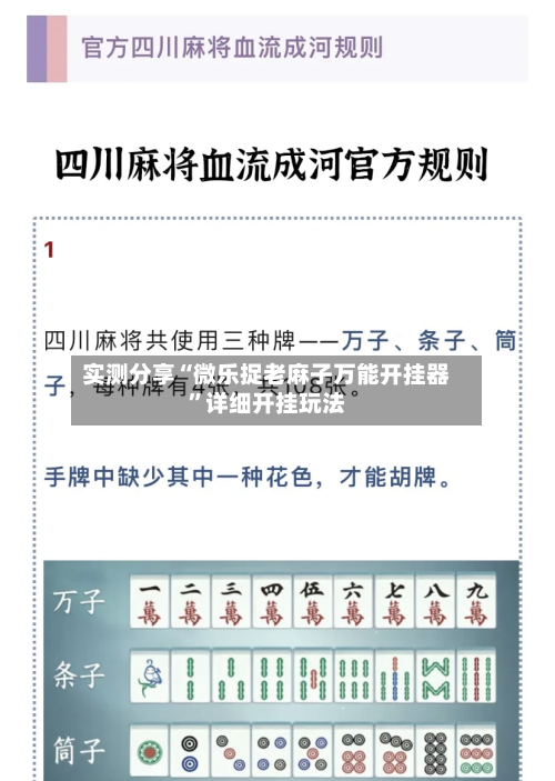 实测分享“微乐捉老麻子万能开挂器”详细开挂玩法