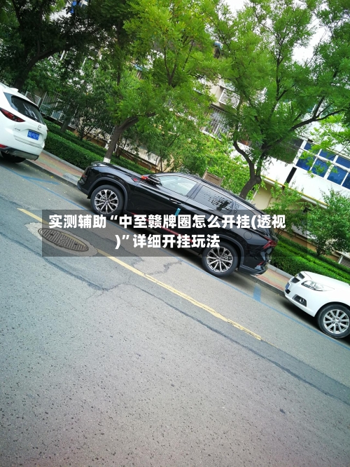 实测辅助“中至赣牌圈怎么开挂(透视)”详细开挂玩法