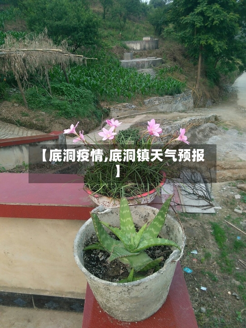 【底洞疫情,底洞镇天气预报】