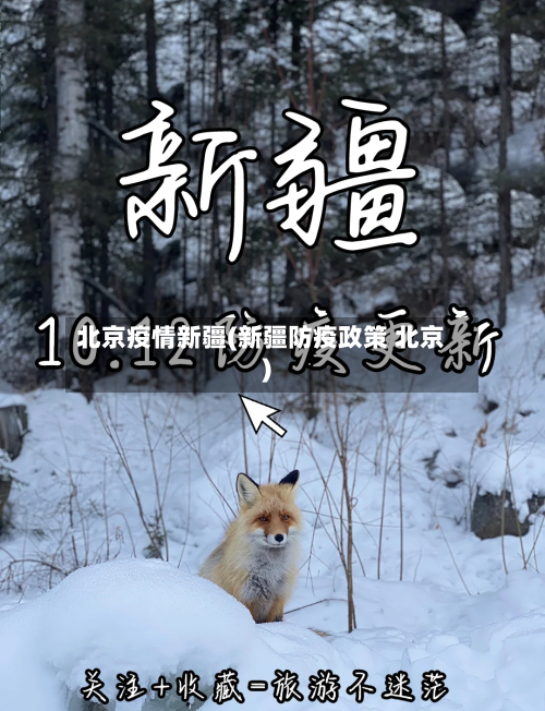 北京疫情新疆(新疆防疫政策 北京)