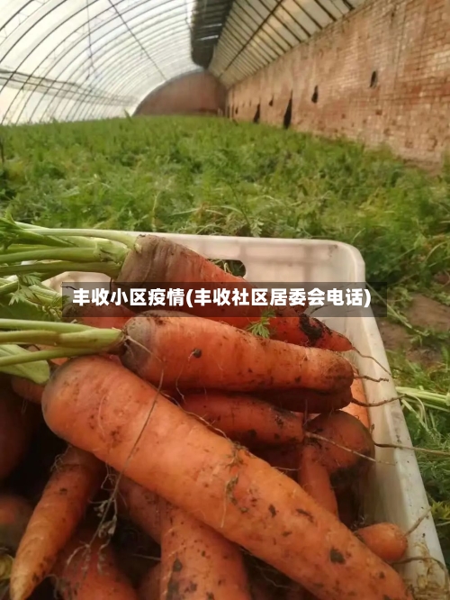 丰收小区疫情(丰收社区居委会电话)-第2张图片