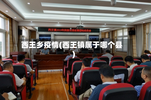 西王乡疫情(西王镇属于哪个县)