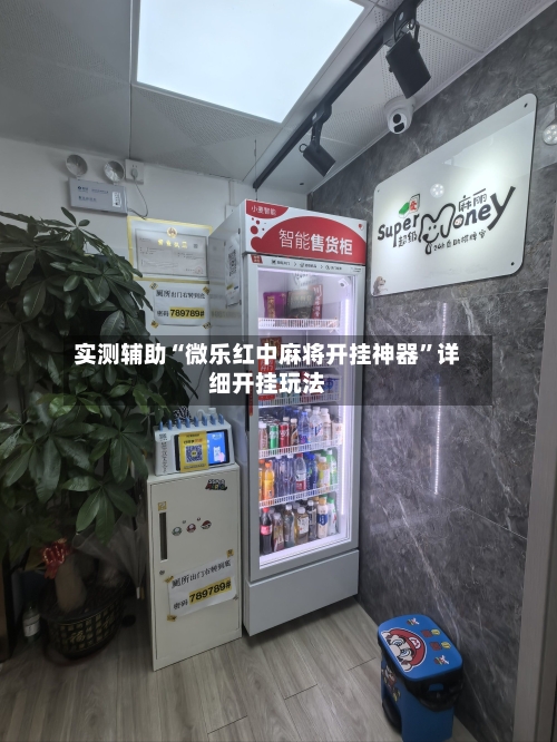 实测辅助“微乐红中麻将开挂神器”详细开挂玩法-第3张图片