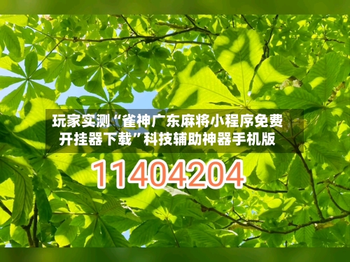 玩家实测“雀神广东麻将小程序免费开挂器下载	”科技辅助神器手机版-第1张图片