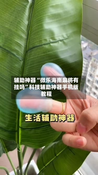 辅助神器“微乐海南麻将有挂吗	”科技辅助神器手机版教程-第1张图片