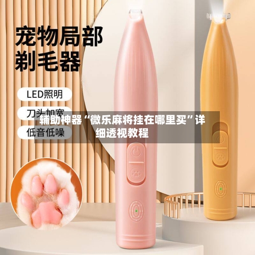 辅助神器“微乐麻将挂在哪里买”详细透视教程