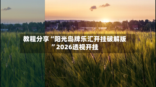 教程分享“阳光岛牌乐汇开挂破解版”2026透视开挂-第1张图片
