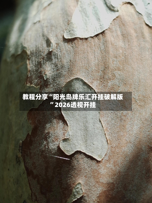 教程分享“阳光岛牌乐汇开挂破解版	”2026透视开挂-第2张图片