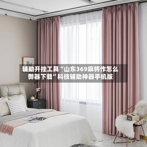 辅助开挂工具“山东369麻将作怎么弊器下载”科技辅助神器手机版