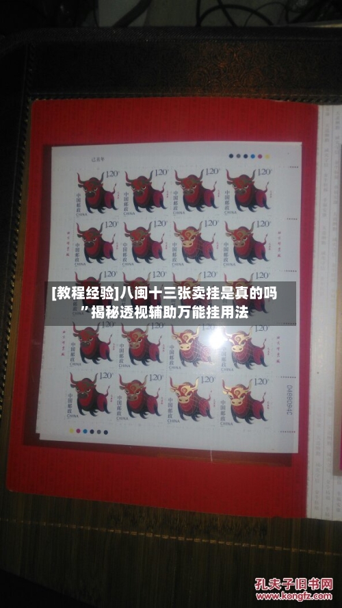 [教程经验]八闽十三张卖挂是真的吗	”揭秘透视辅助万能挂用法-第2张图片