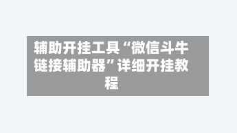 辅助开挂工具“微信斗牛链接辅助器	”详细开挂教程-第2张图片