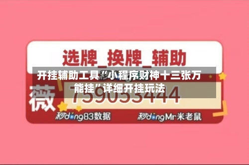 开挂辅助工具“小程序财神十三张万能挂”详细开挂玩法-第2张图片