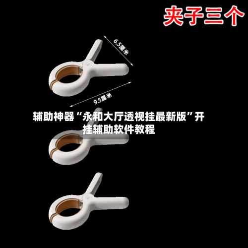 辅助神器“永和大厅透视挂最新版”开挂辅助软件教程