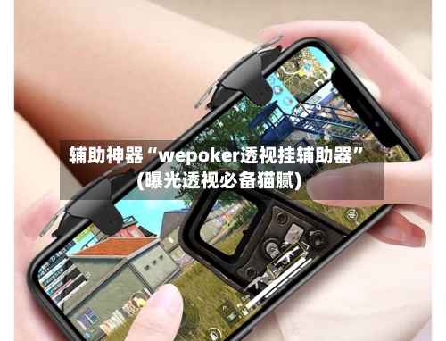 辅助神器“wepoker透视挂辅助器”(曝光透视必备猫腻)-第1张图片