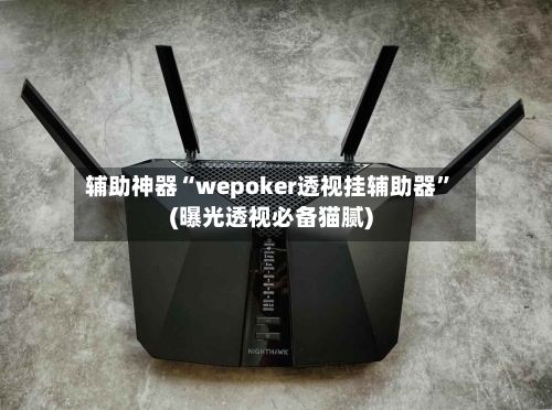辅助神器“wepoker透视挂辅助器”(曝光透视必备猫腻)-第3张图片