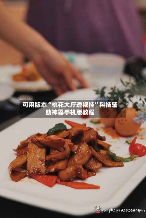 可用版本“桃花大厅透视挂	”科技辅助神器手机版教程-第1张图片