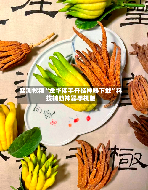 实测教程“金华佛手开挂神器下载	”科技辅助神器手机版-第2张图片