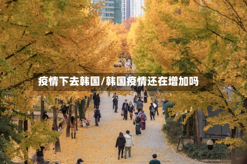 疫情下去韩国/韩国疫情还在增加吗