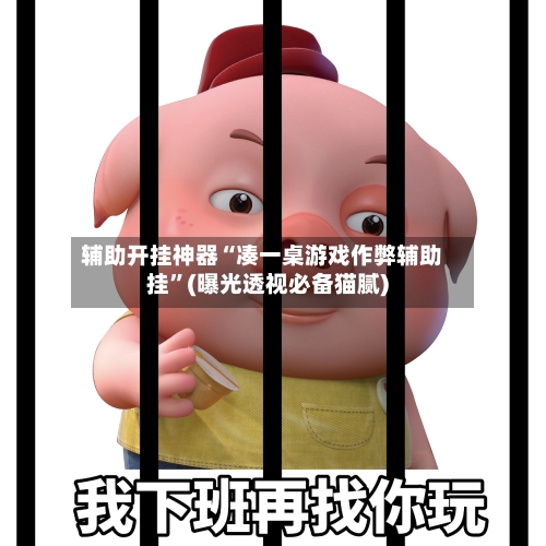 辅助开挂神器“凑一桌游戏作弊辅助挂	”(曝光透视必备猫腻)-第1张图片