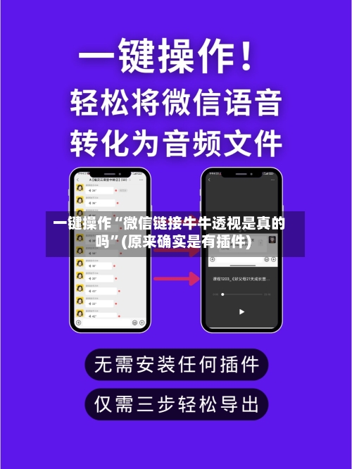 一键操作“微信链接牛牛透视是真的吗”(原来确实是有插件)-第2张图片