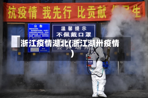 浙江疫情湖北(浙江湖卅疫情)