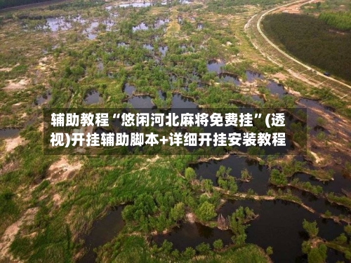 辅助教程“悠闲河北麻将免费挂	”(透视)开挂辅助脚本+详细开挂安装教程-第2张图片