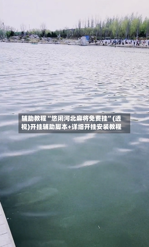 辅助教程“悠闲河北麻将免费挂”(透视)开挂辅助脚本+详细开挂安装教程-第1张图片